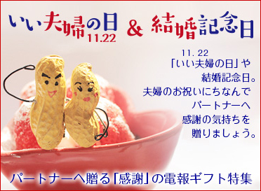 11月22日はいい夫婦の日&結婚記念日特集